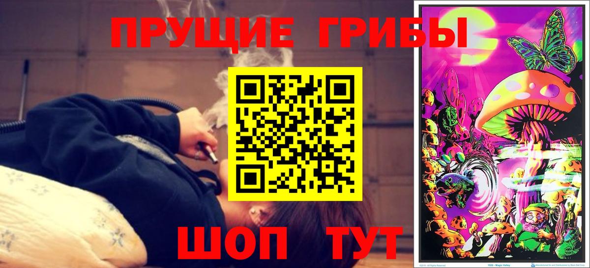 Унеча  Псилоцибиновые грибы MAGIC MUSHROOMS  Вход с VPN 