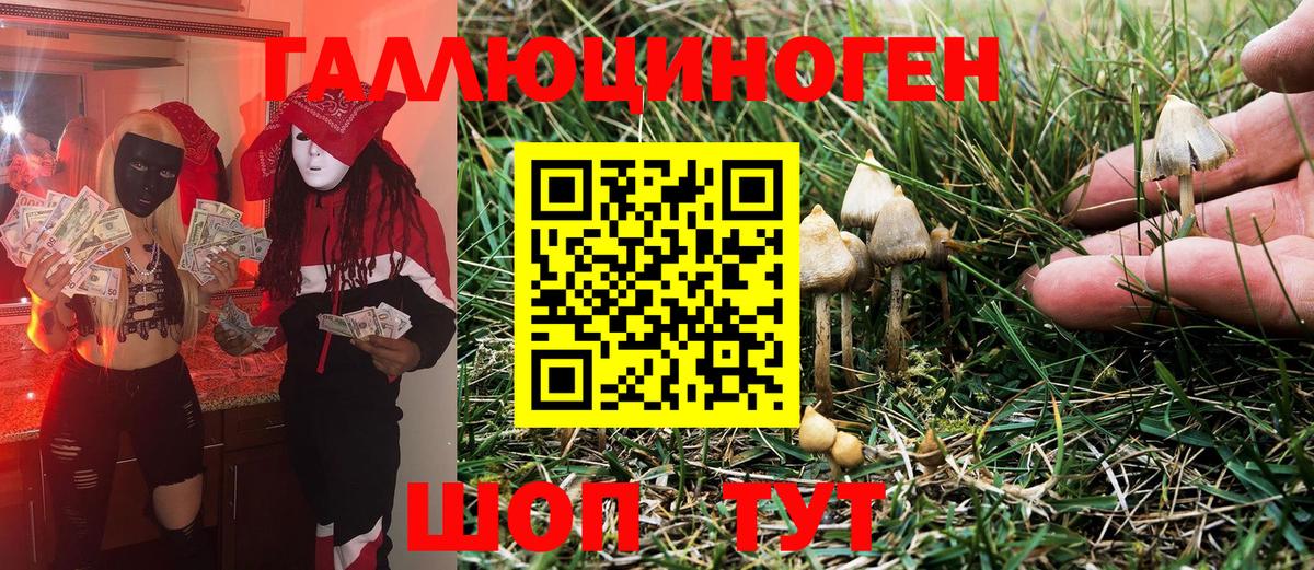 Галлюциногенные грибы Psilocybe Унеча